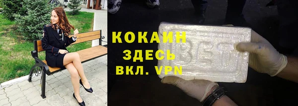 молекула духа Гусев