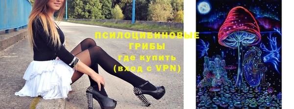 молекула духа Гусев