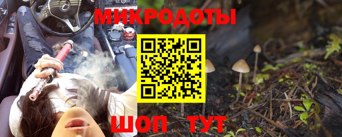 Псилоцибиновые грибы Psilocybe Конаково