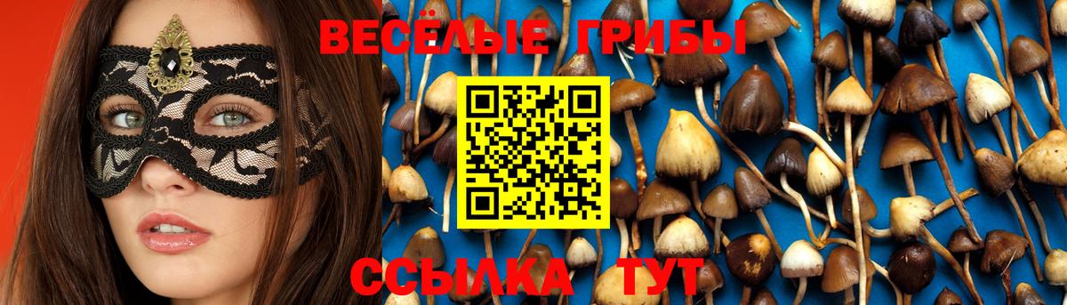 Псилоцибиновые грибы MAGIC MUSHROOMS Конаково