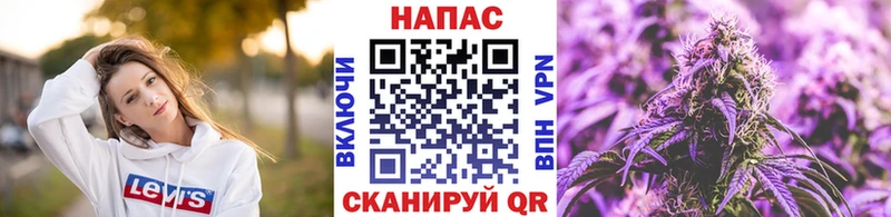 Конопля план  купить  цена  Конаково 